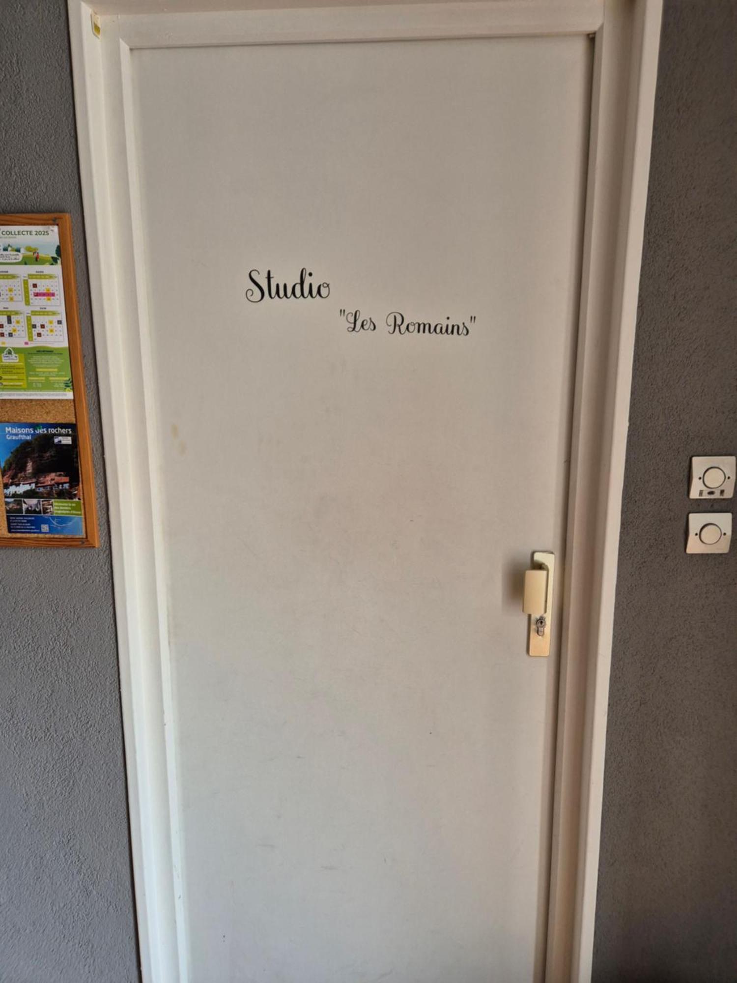 1 Rue Des Romains Studio Meuble Clauss Niederbronn-les-Bains Exterior foto
