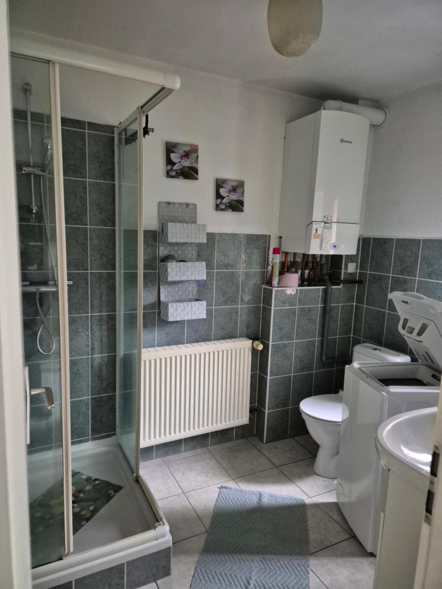 1 Rue Des Romains Studio Meuble Clauss Niederbronn-les-Bains Exterior foto